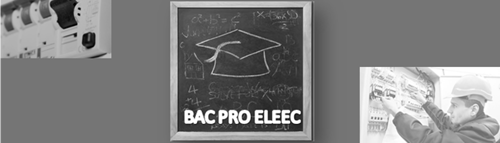 La rénovation du Bac Pro ELEEC : les enjeux