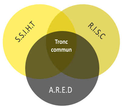 BAC-PRO-SN