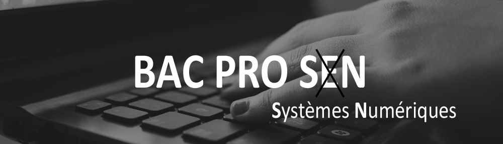 Le Bac Pro Systèmes Numériques (SN) et ses liaisons avec le bac Pro MELEC